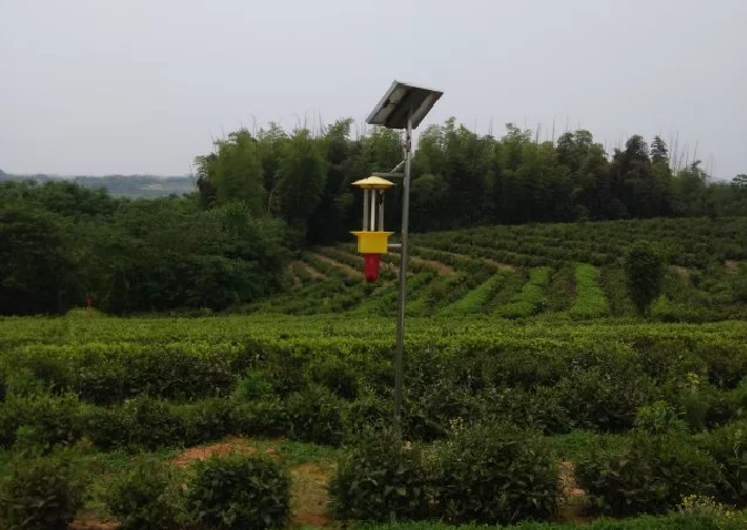 太阳能杀虫灯