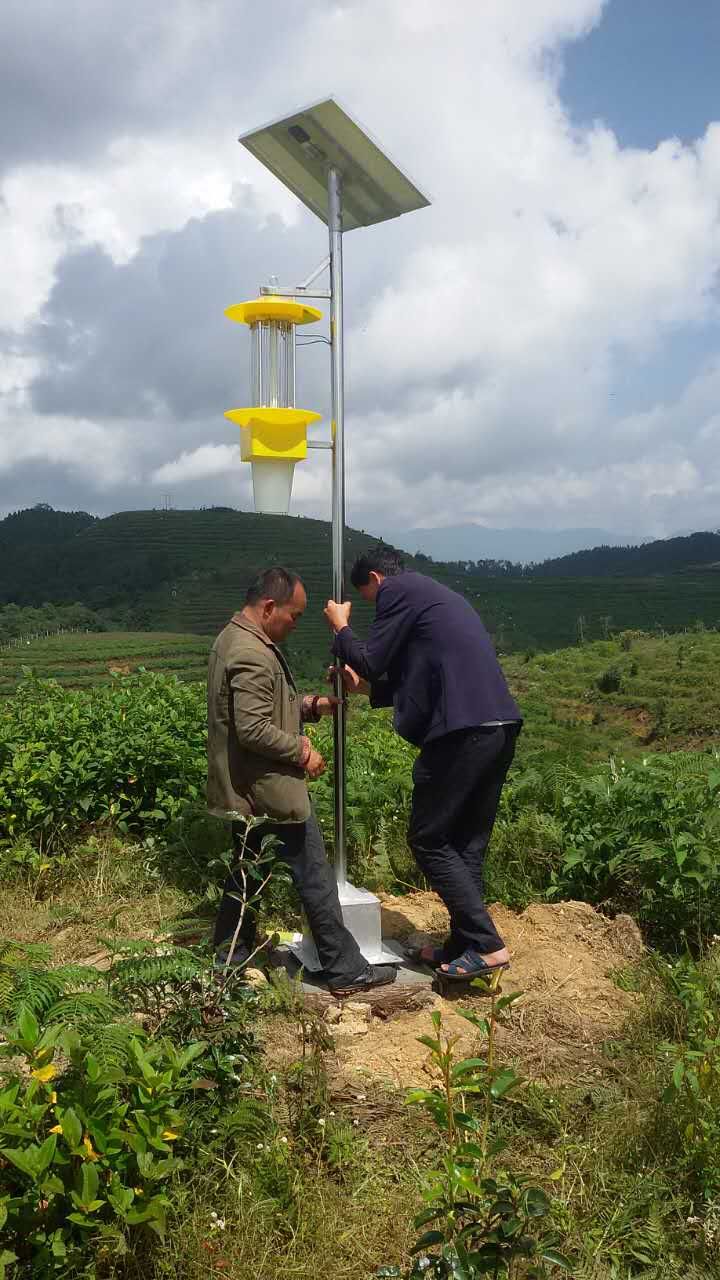 太阳能杀虫灯